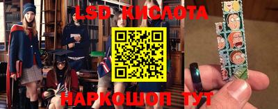 spice Гатчина