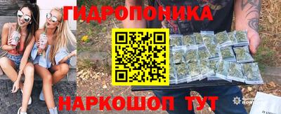 spice Гатчина