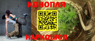 spice Гатчина