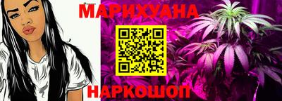 spice Гатчина