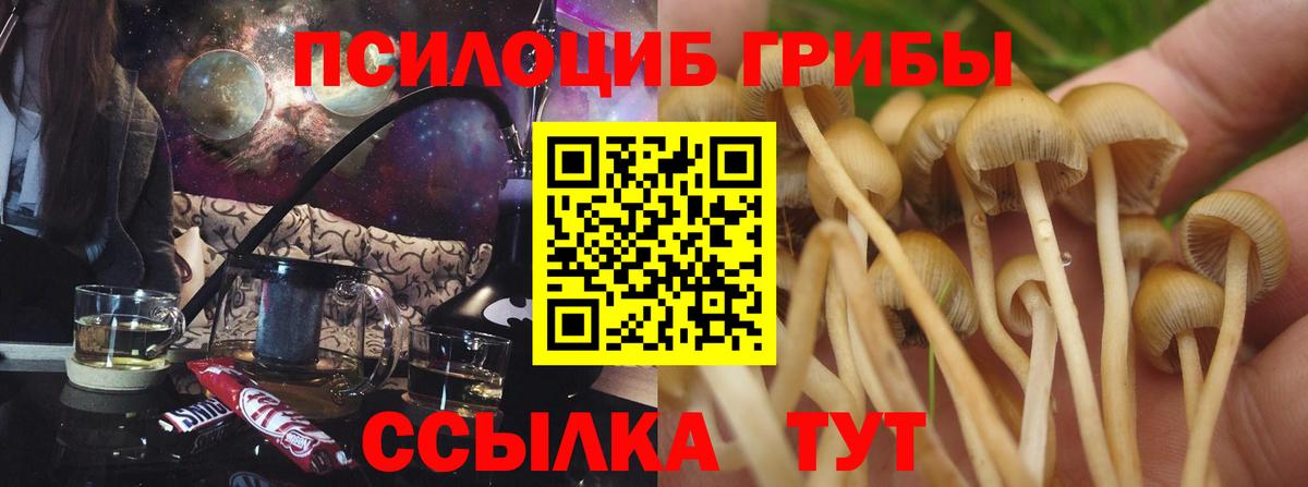 наркота  Псилоцибиновые грибы Cubensis  Вход с VPN  Муром 